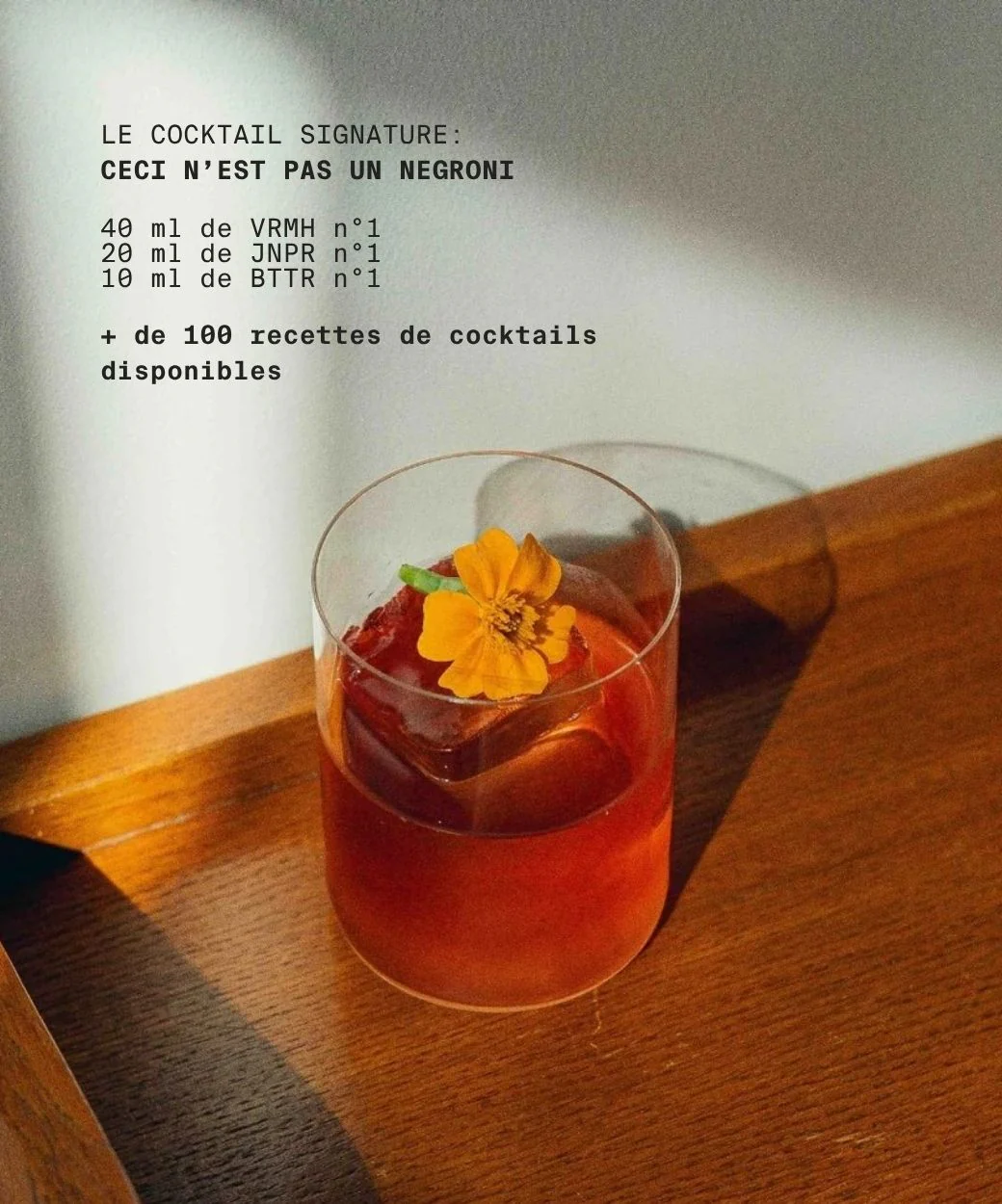BTTR n°1 - Apéritif amer sans alcool - Image 5